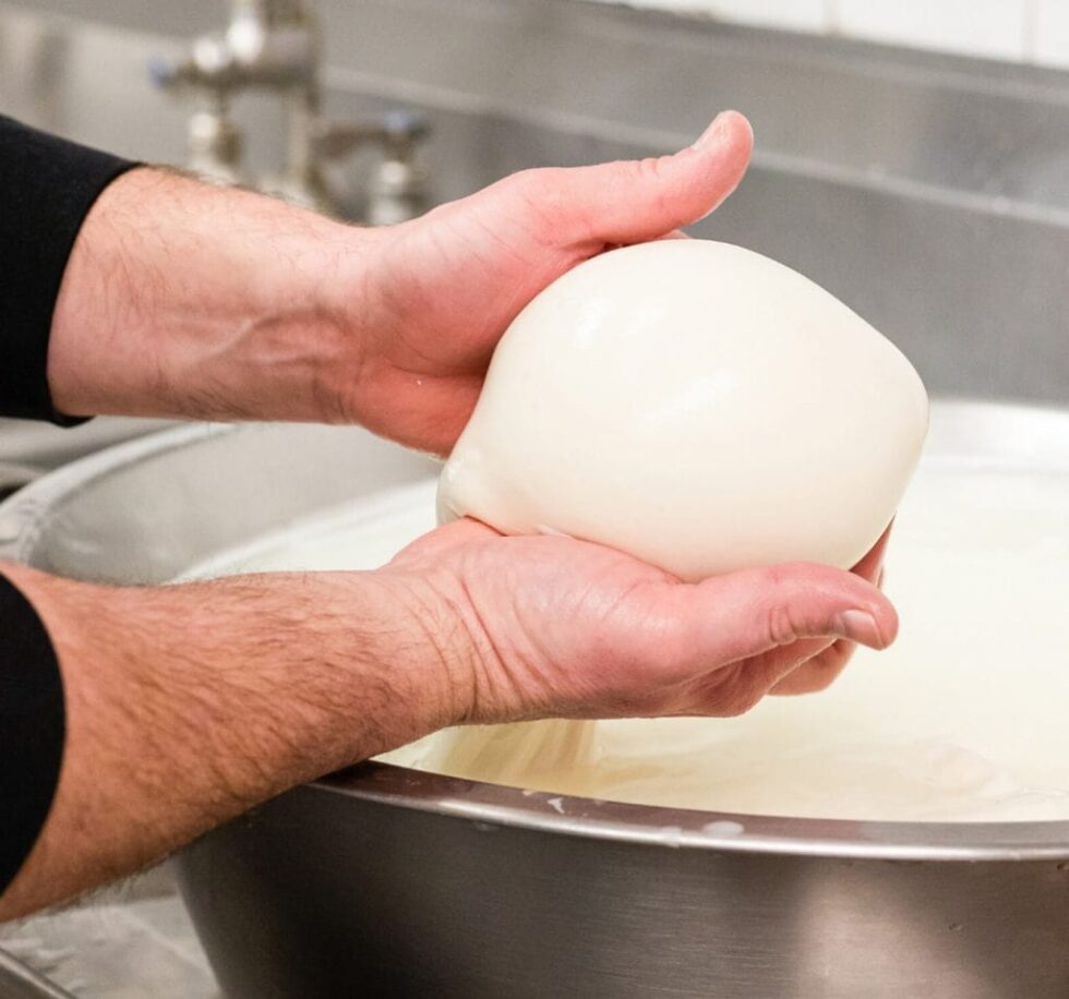 Freshly Made Items Aiello Bros